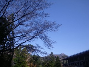 IMGP0026