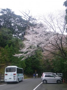 IMGP0030