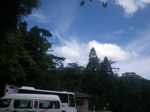 IMGP0088